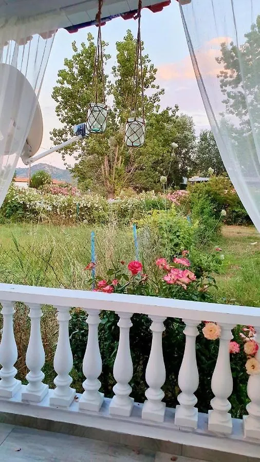 Studio Rafael Sykia Chalkidikis